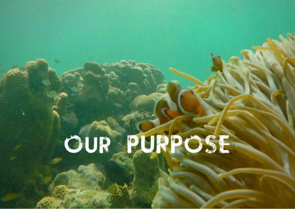 an anemone with the words our purpose.