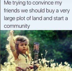 me trying to convince my friends we should buy a very large land and start a community.