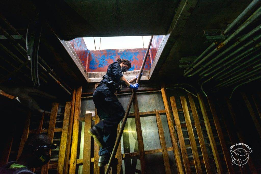 a police officer climbing up a ladder in a building.