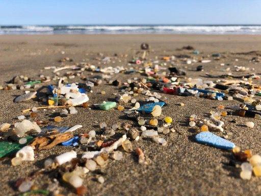 microplastics on the beach