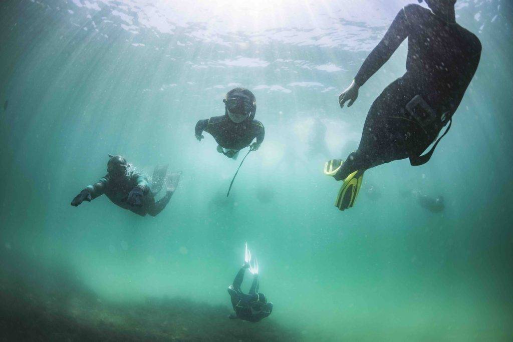 a group of people scuba diving in the ocean.