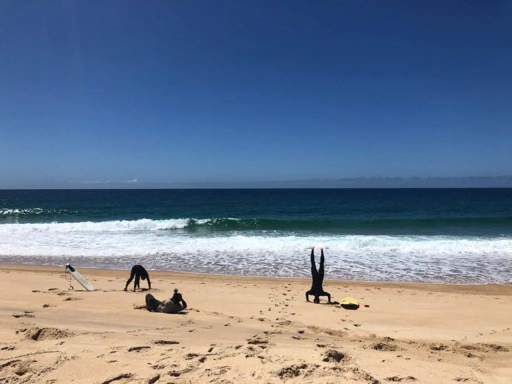 a group of people practicing yoga on the beach.