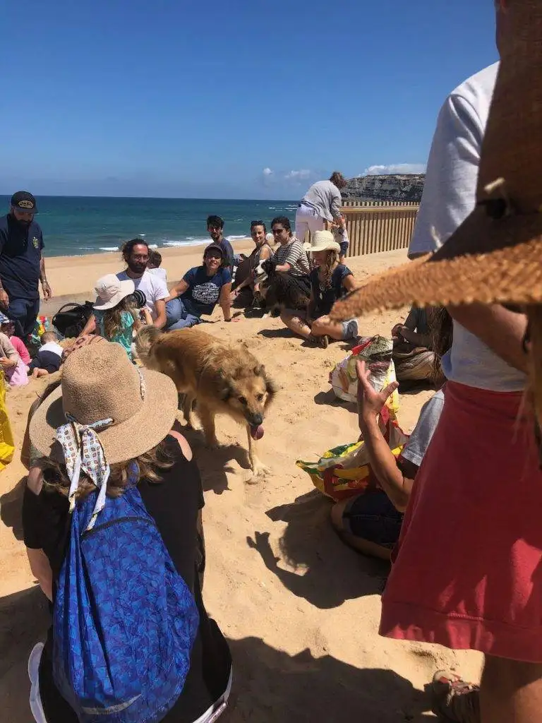 a group of people sitting on the beach with a dog.