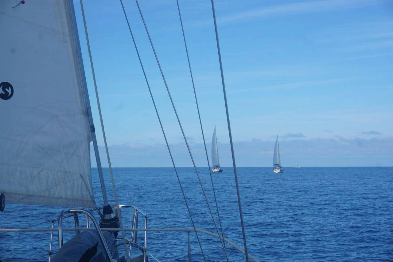 a group of sailboats sailing in the ocean.