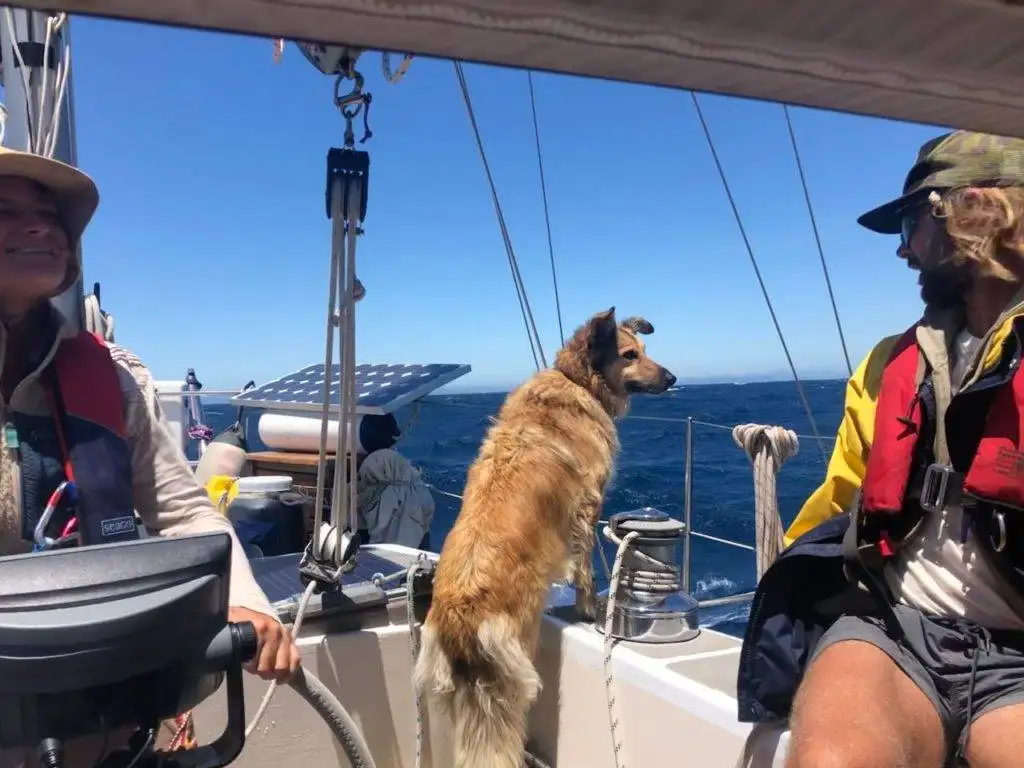 two people and a dog on a sailboat.