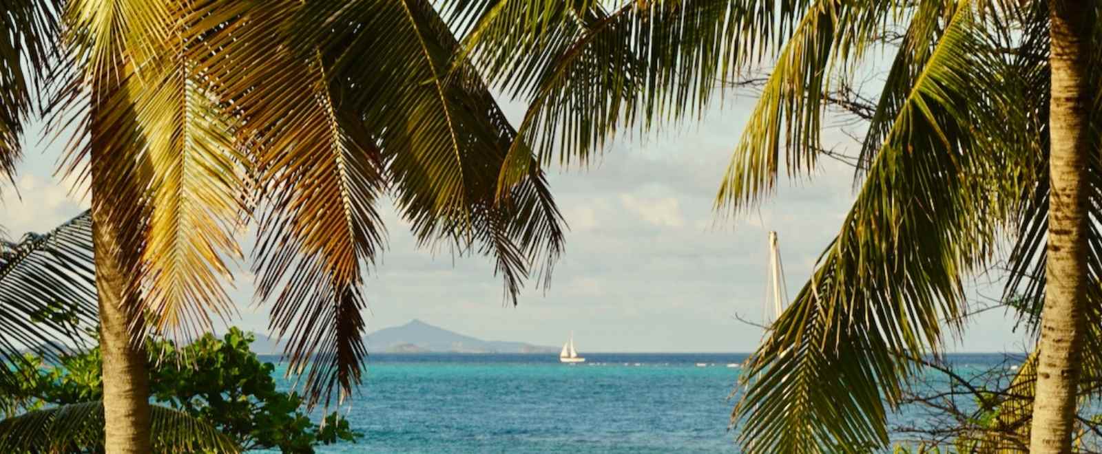 a view of the ocean with palm trees and a sailboat in the distance.