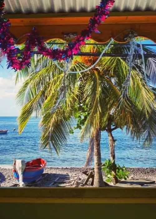 A scenic beach view with palm trees and boats, perfect for offshore sailing crews.