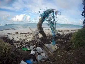 a beach with a lot of trash on it.
