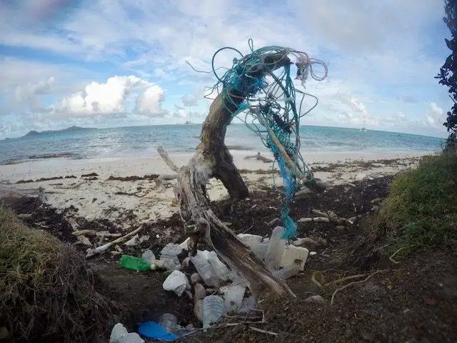 a beach with a lot of trash on it.