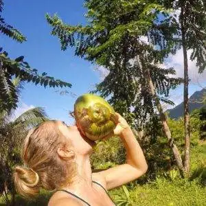 A woman enjoying a coconut during her Caribbean sailing trip amidst lush trees.