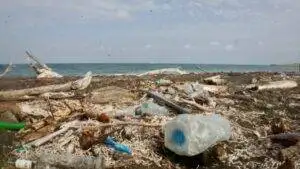 A polluted beach littered with trash.
