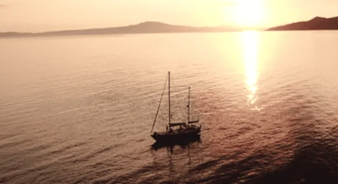 A sailboat floats on calm waters during sunset, with a mountainous shoreline visible in the distance, inviting you to explore new crewing opportunities and unforgettable travel experiences.