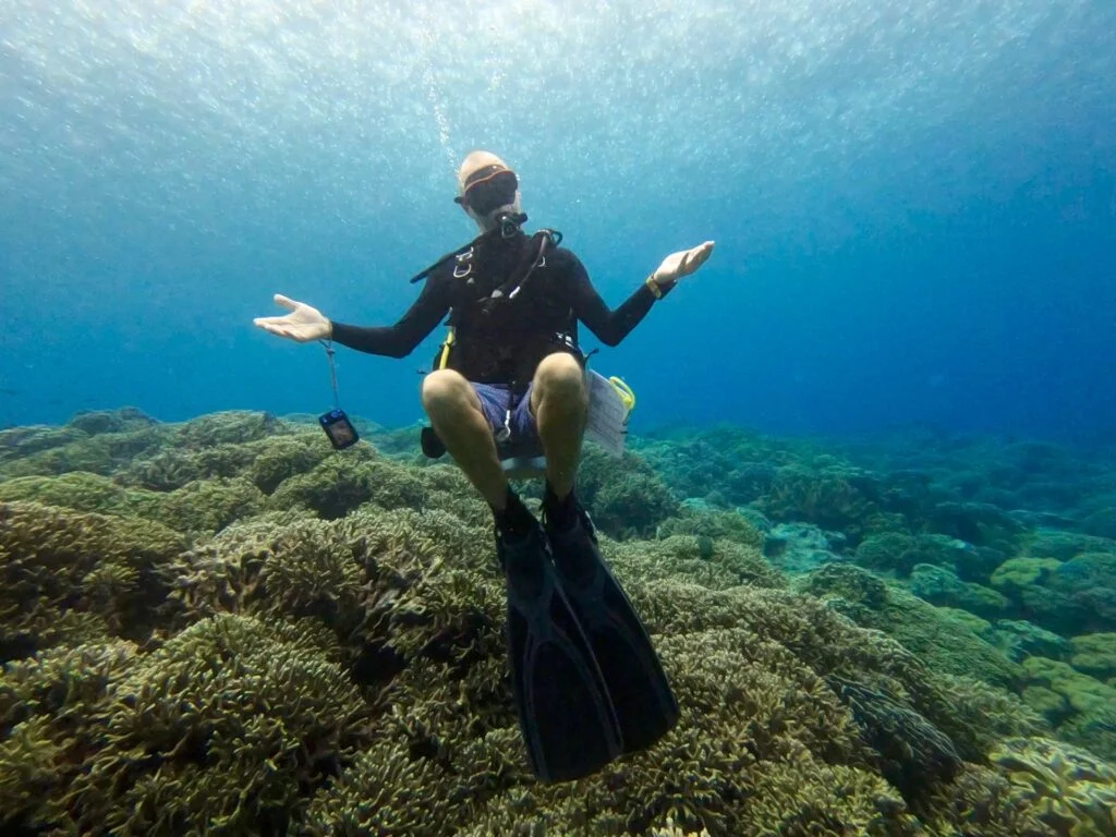 A scuba diver hovers above a coral reef underwater, with both arms outstretched, wearing full diving gear including fins, mask, and oxygen tank. Light from the surface filters down through the water, illuminating the vibrant scene as if guided by an Ocean Nomad on a serene underwater journey.