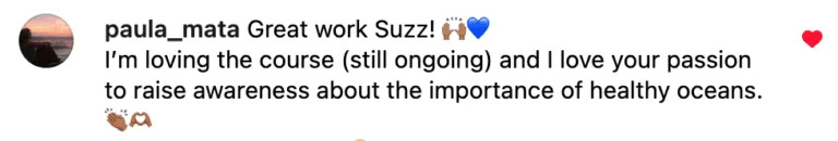 Instagram comment by paula_mata praising Suzz's work and ongoing course on raising awareness about the importance of healthy oceans, how to travel by sail as crew, with blue heart and clapping hands emojis.