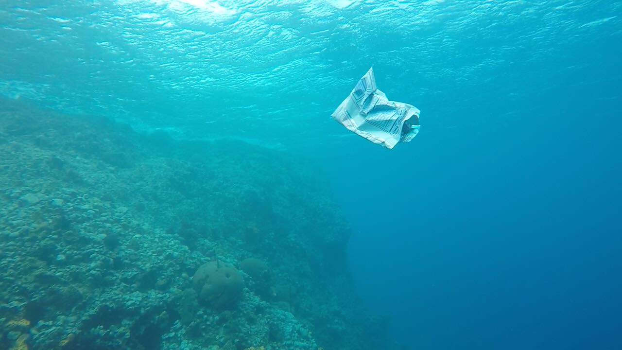 Can You Throw Trash in the Ocean? A Sailor’s Guide to Waste at Sea