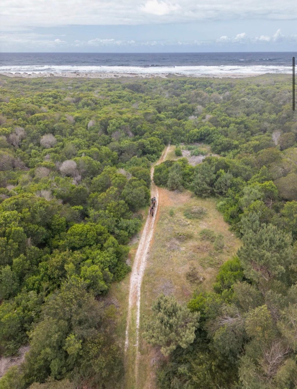 surfing and horse ride retreat