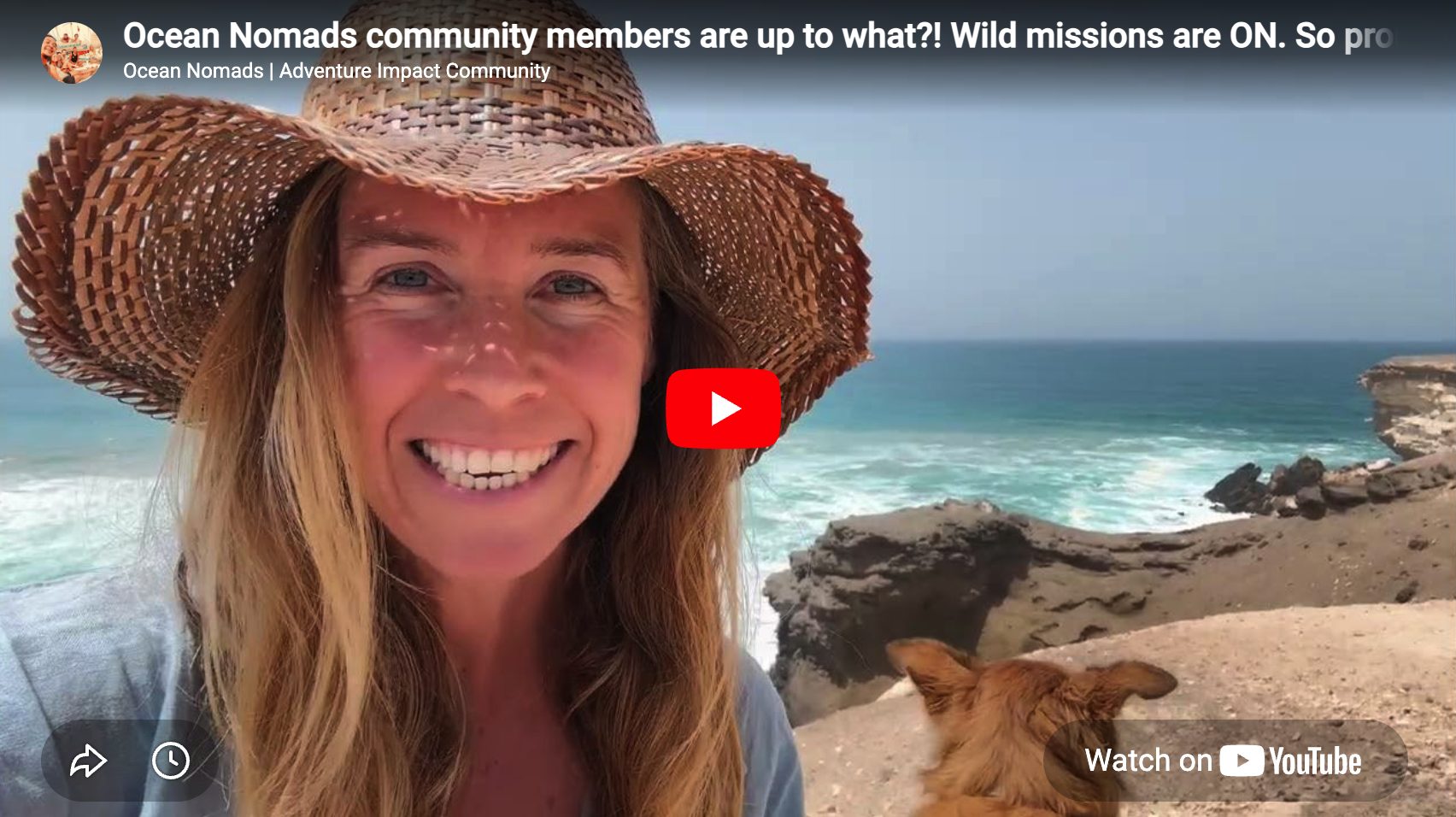 Wild what ON Members are up to!